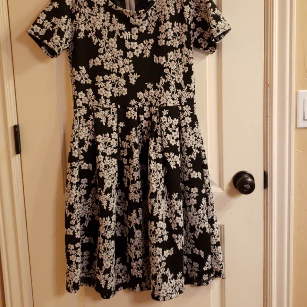 Lularoe Amelia